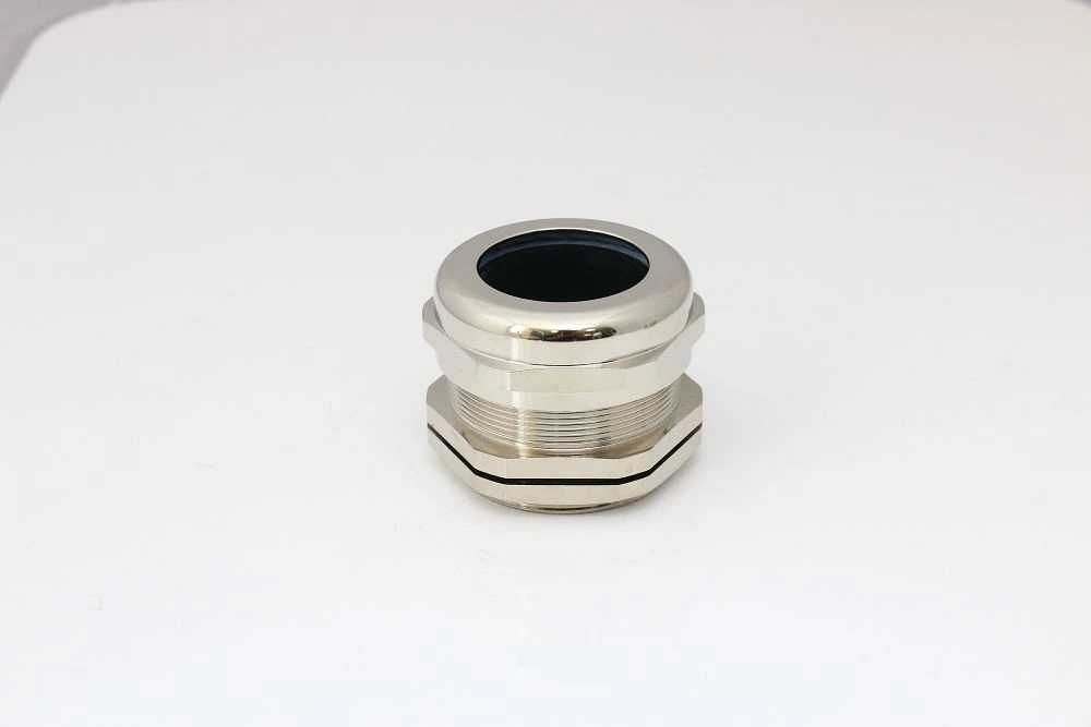 product-1000-667 product-1000-667